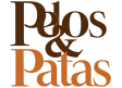 Pelos e patas